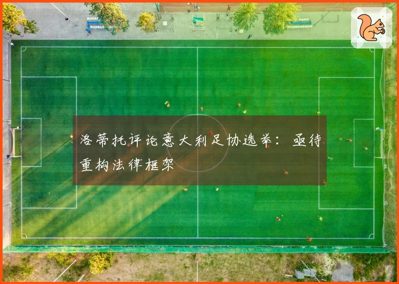 洛蒂托评论意大利足协选举：亟待重构法律框架