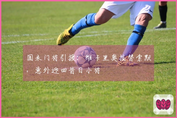 国米门将引援：维卡里奥接替索默，意外迎回昔日小将